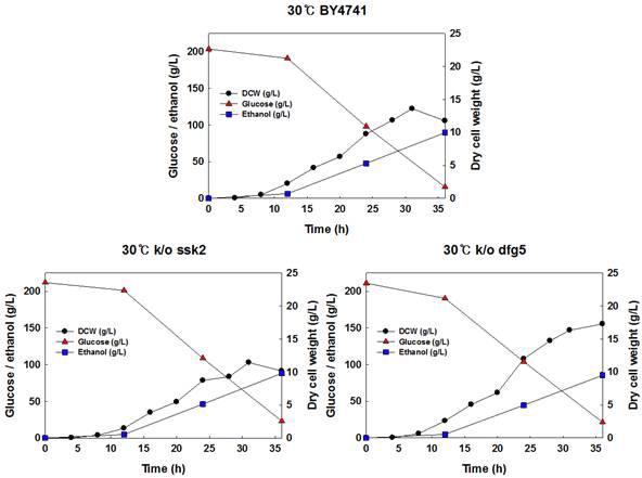 야생균주 S. cerevisiae BY4741, 재조합 효모 S. cerevisiae BY4741△ ssk2, BY4741△dfg5 균주를 이용한 30oC, YPD200에서의 회분식 배양