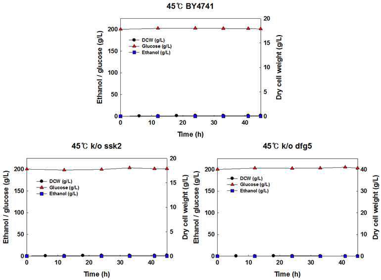 야생균주 S. cerevisiae BY4741, 재조합 효모 S. cerevisiae BY4741△ ssk2, BY4741△dfg5 균주를 이용한 45oC, YPD200에서의 회분식 배양