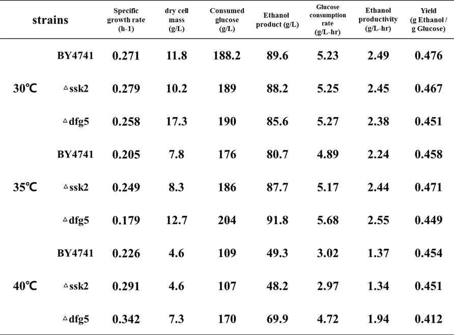 다양한 발효온도와 YPD200 배지를 이용한 야생균주 S. cerevisiae BY4741, 재조합 효모 S. cerevisiae BY4741△ssk2, BY4741△dfg5 균주의 회분식 배양 결과