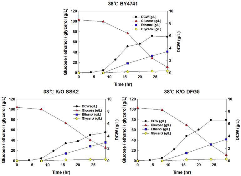 야생균주 S. cerevisiae BY4741, 재조합 효모 S. cerevisiae BY4741△ ssk2, BY4741△dfg5 균주를 이용한 38oC, YNBD100에서의 회분식 배양