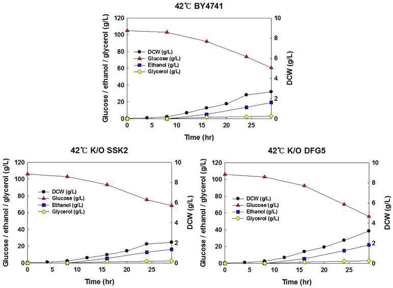 야생균주 S. cerevisiae BY4741, 재조합 효모 S. cerevisiae BY4741△ ssk2, BY4741△dfg5 균주를 이용한 42oC, YNBD100에서의 회분식 배양