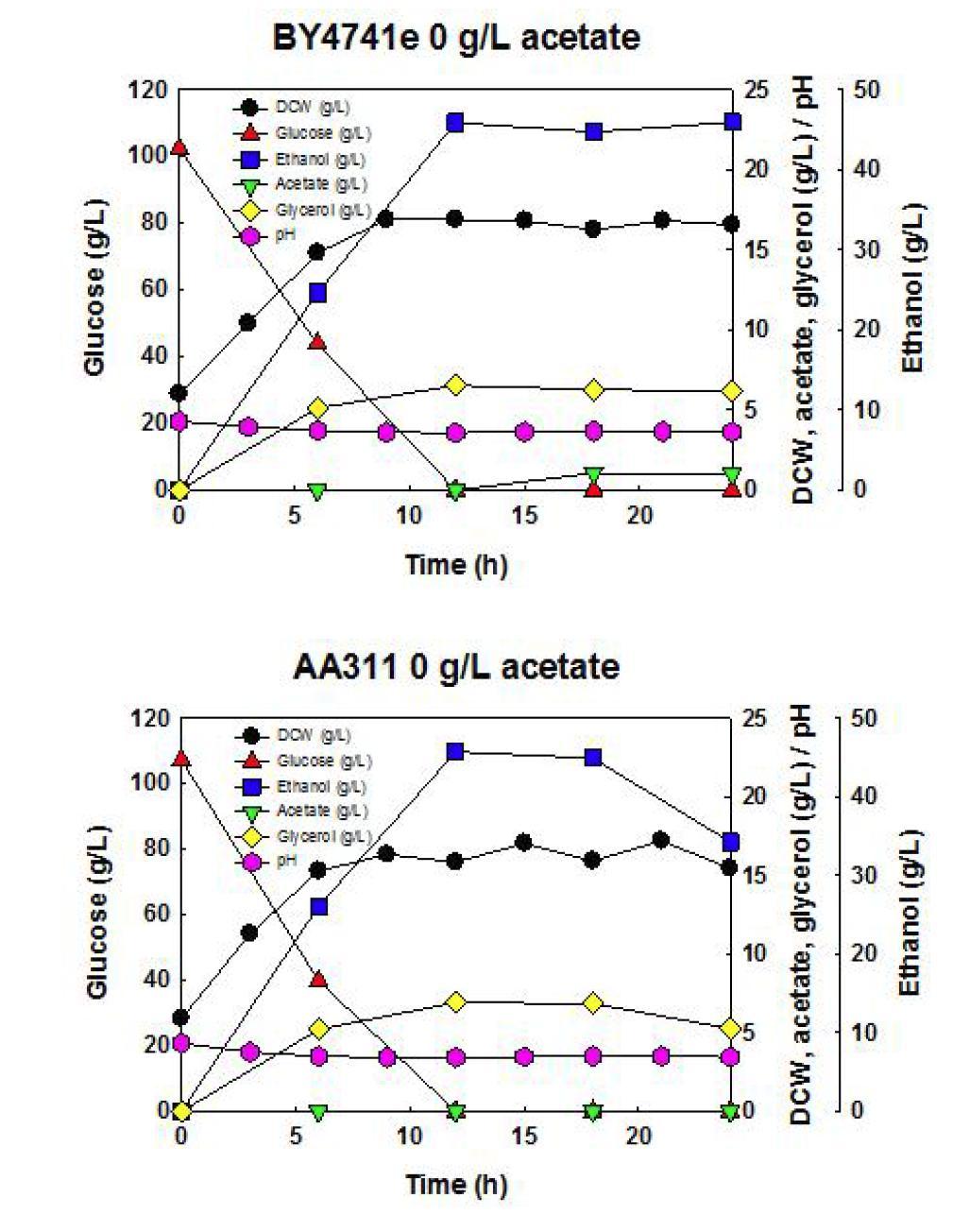 야생균주 S. cerevisiae BY4741, 재조합 효모 S. cerevisiae AA311균주를 이용한 아세트산을 첨가하지 않고, 30oC, YPD100에서의 회분식 배양