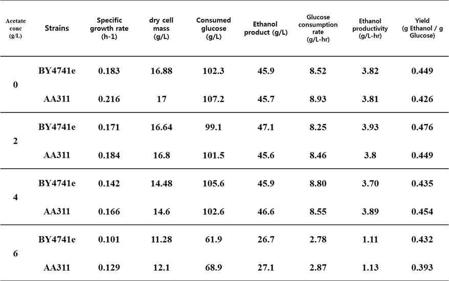 아세트산 농도에 따른 야생균주 S. cerevisiae BY4741, 재조합 효모 S. cerevisiae AA311균주의 세포성장과 에탄올 생산성 영향 분석