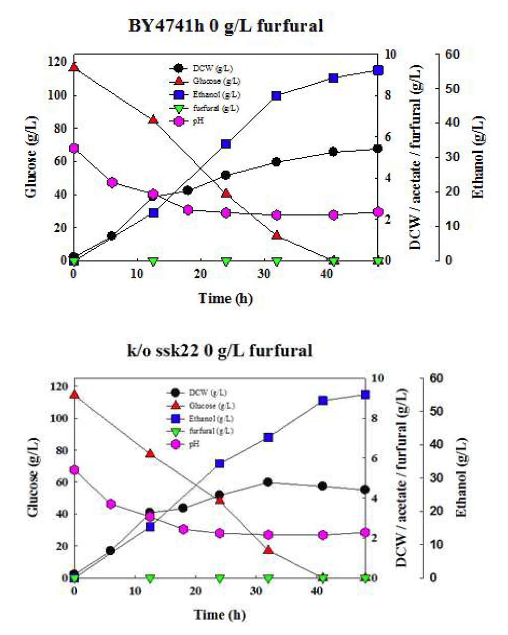 야생균주 S. cerevisiae BY4741h, 재조합 효모 S. cerevisiae BY4741h △ssk22 균주를 이용한 0g/L furfural, 30oC, YPD100에서의 회분식 배양