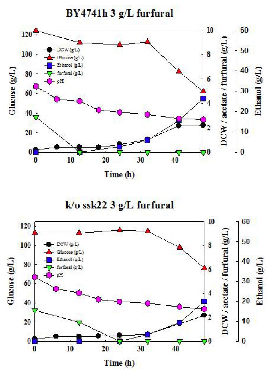 야생균주 S. cerevisiae BY4741h, 재조합 효모 S. cerevisiae BY4741h △ssk22 균주를 이용한 3g/L furfural, 30oC, YPD100에서의 회분식 배양