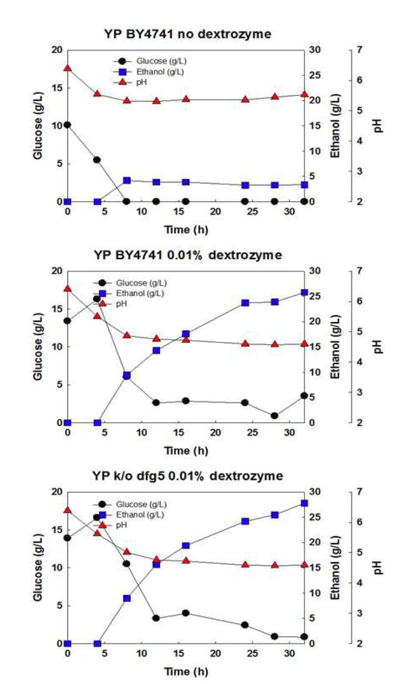 야생균주 S. cerevisiae BY4741과 재조합 효모 S. cerevisiae BY4741 △dfg5 균주를 이용하고 복합배지 YP에 100 g/L liquefied soluble starch, 0.01%(w/v) dextrozyme를 첨가한 배지를 이용하고, 40oC와 80rpm의 산소제한조건에서 실시한 HT-SSF 공정