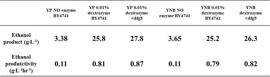 야생균주 S. cerevisiae BY4741과 재조합 효모 S. cerevisiae BY4741 △dfg5 균주를 이용한 40oC, 산소제한조건에서 HT-SSF 결과 분석