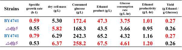 야생균주 S. cerevisiae BY4741, 재조합 효모 BY4741△dfg5 균주를 이용한 38, 40oC, YPD200, Lab-scale 에서의 회분식 배양 결과