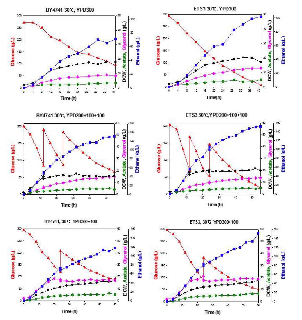 야생균주 S. cerevisiae BY4741, 재조합 효모 BY4741 ETS3 균주를 이용한 30oC, YPD Lab-scale 에서의 회분식 배양. 포도당의 조건은 각각 (A) 초기 포도당 300 g/L, (B) 초기 포도당 300 g/L에 24 시간 후 100 g/L 추가, (C) 초기 포도당 200 g/L에 가각 12시간, 24시간 이후 100 g/L 추가