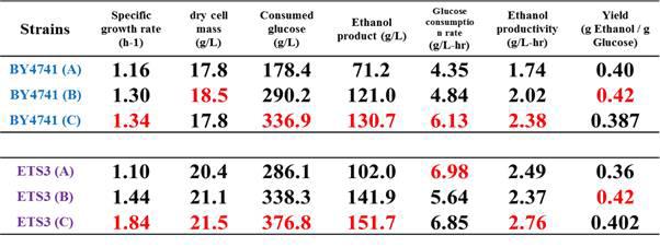 야생균주 S. cerevisiae BY4741, 재조합 효모 BY4741 ETS3 균주를 이용한 30oC, YPD Lab-scale 에서의 회분식 배양결과. 포도당의 조건은 각각 (A) 초기 포도당 300 g/L, (B) 초기 포도당 300 g/L에 24 시간 후 100 g/L 추가, (C) 초기 포도당 200 g/L에 가각 12시간, 24시간 이후 100 g/L 추가