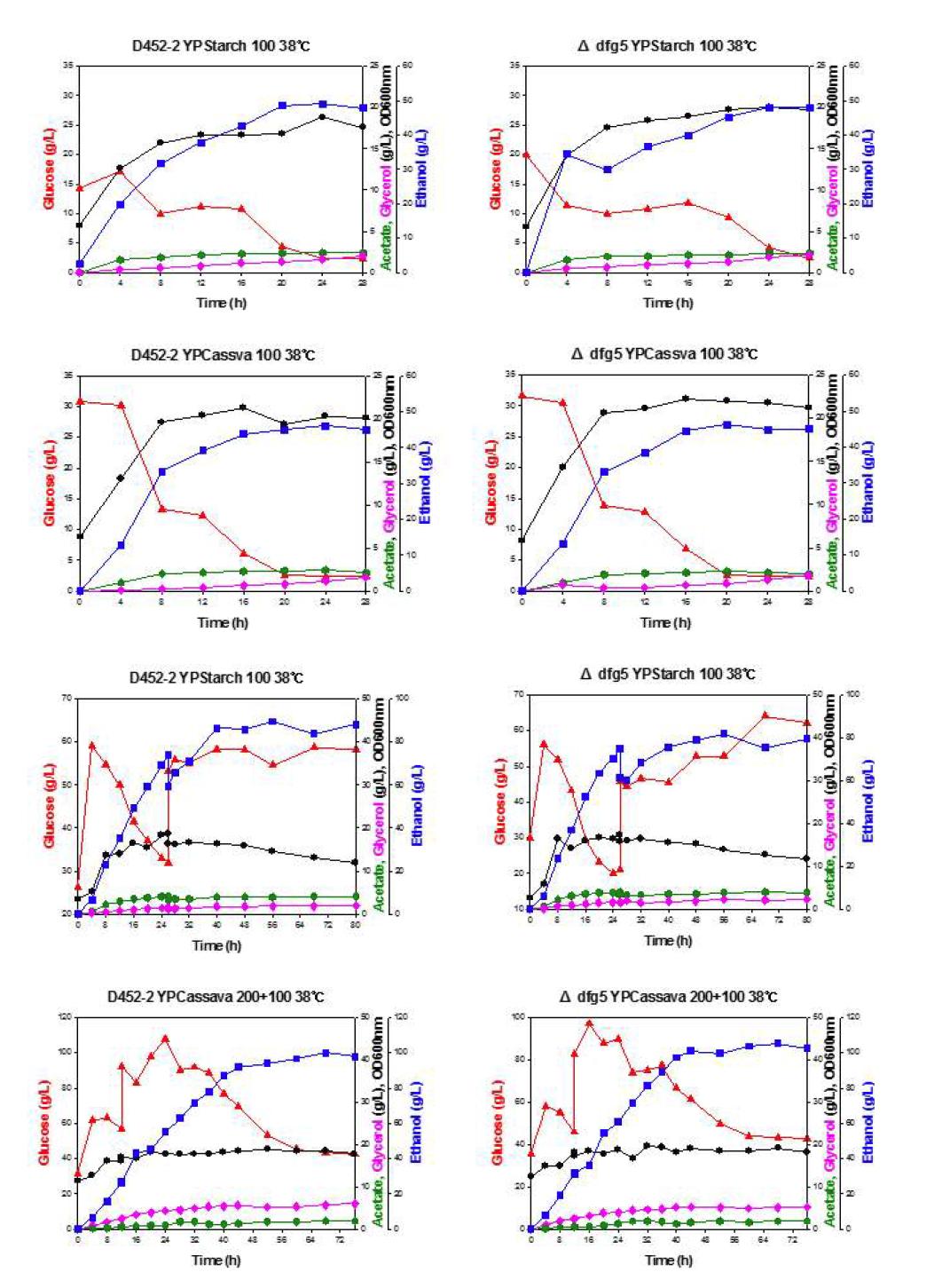 야생균주 야생균주 S. cerevisiae D452-2, 재조합 효모 D452-2△dfg5 균주를 이용한 38oC, YP배지에서 감자전분과 카사바전분을 이용한 회분식 배양