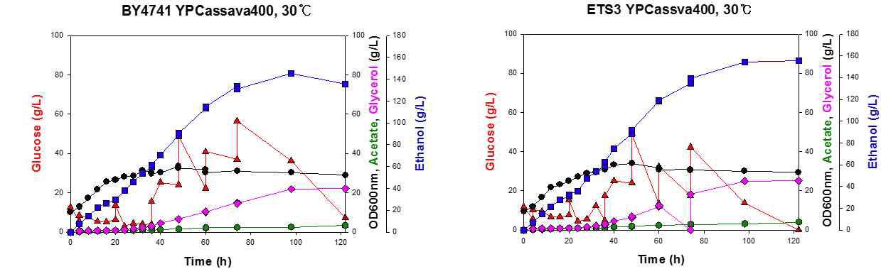 야생균주 S. cerevisiae BY4741, 재조합 효모 BY4741 ETS3 균주를 이용한 30oC YP에 카사바전분 400 g/L에서 Lab-scale 회분식 배양