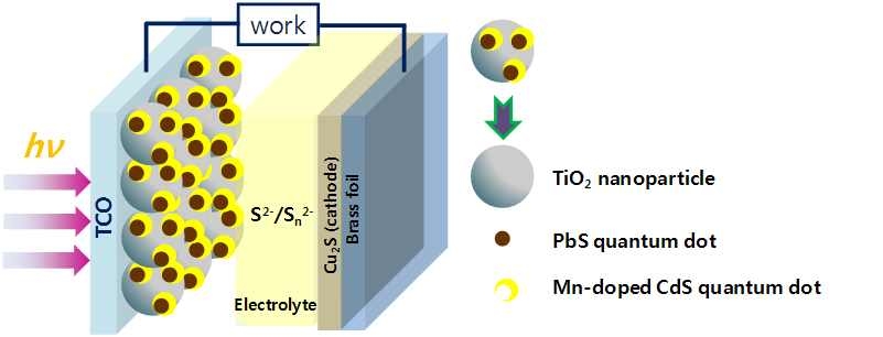 PbS, Mn-doped CdS 양자점을 동시 적용한 태양전지의 모식도
