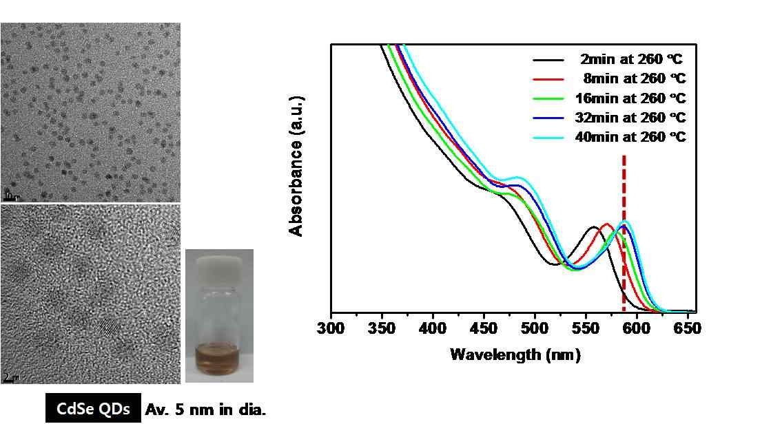 CdSe 나노입자의 TEM 사진 (좌)과 반응 시간에 따른 CdSe 나노입자의 UV-vis 흡수 스펙트럼 (우)