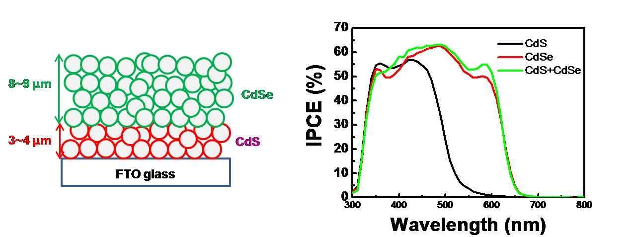 CdS, CdSe가 selective positioning 된 광전극의 모식도 (좌) 및 IPCE 스펙트럼 (우)