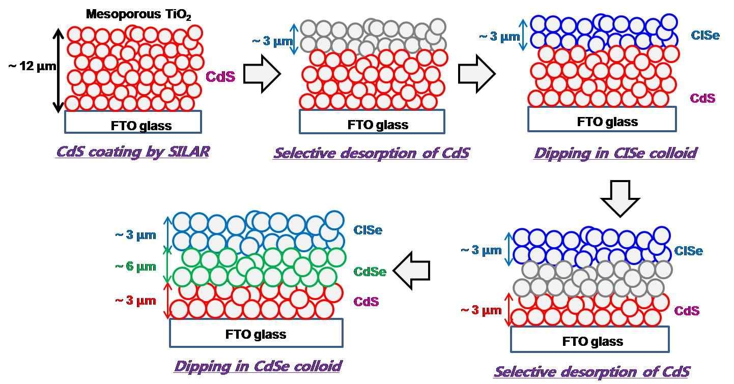 3가지 양자점 다중적층 광전극 제작 과정