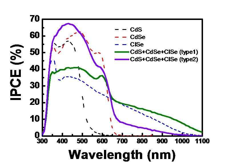 3가지 양자점이 selective positioning 된 광전극의 IPCE 스펙트럼