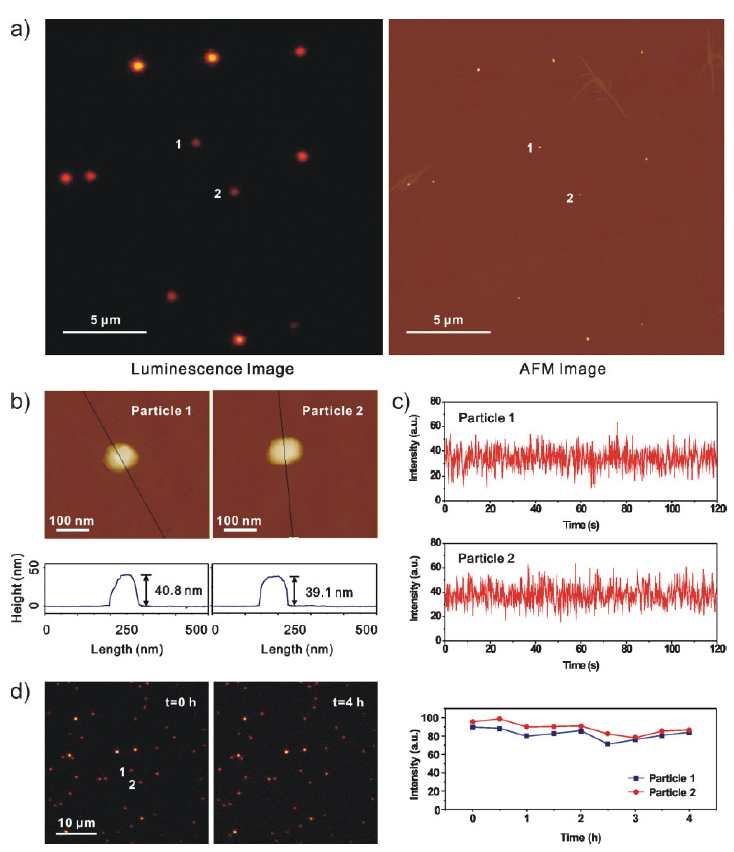 단일입자 수준에서의 AFM과 발광이미징을 이용한 기능성 나노입자 이미징 (Y. I. Park et al., Adv. Mater. 21, 4467 (2009))