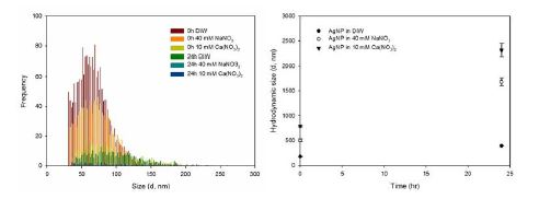 시간에 따른 은나노입자의 크기를 RTSP-ICP-MS (좌) 및 DLS (우)를 이용하여 관찰