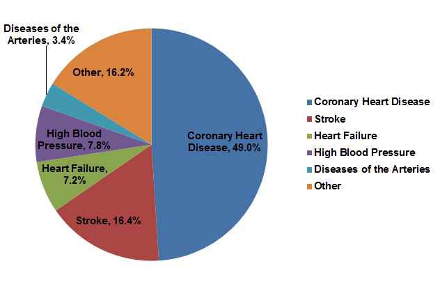 그림 5. 심혈관질환으로 인한 사망 분포도