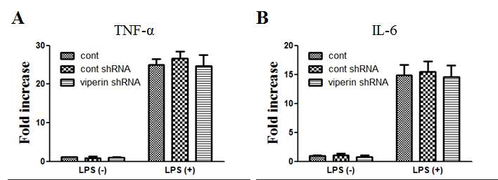 그림 7. Viperin이 결여된 BV2 세포주와 정상 BV2 세포주에 LPS를 처리한 후 TNF-α (A)와 IL-6 (B)의 mRNA 발현양을 확인하기 위하여 real time RT-PCR을 수행하였다