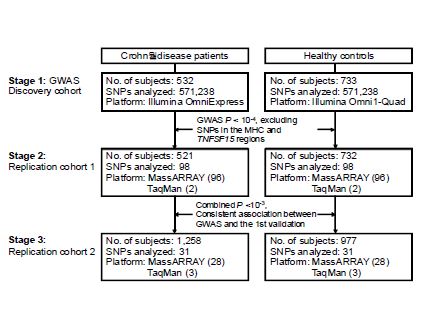 그림1. Flowchart of study procedures