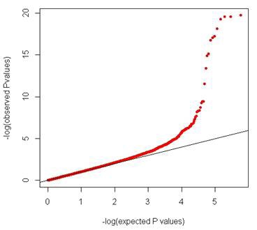 그림 3. Quantile-quantile plot for the genome-wide association P values in 532 cases and 733 controls