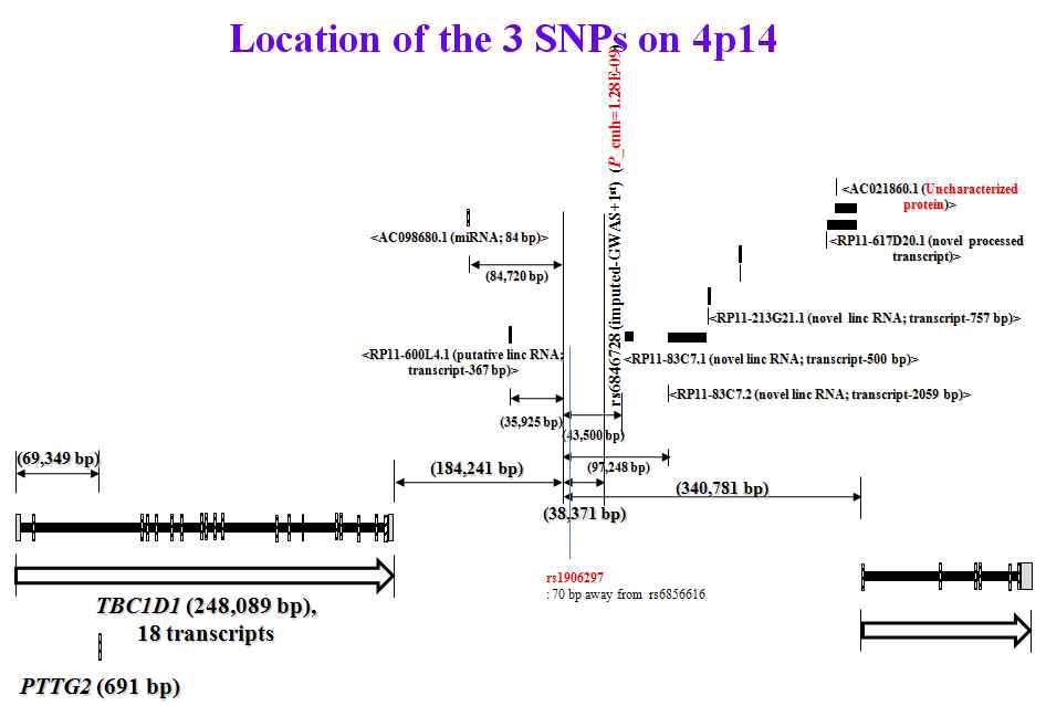 그림 6. Map of the three newly identified CD loci