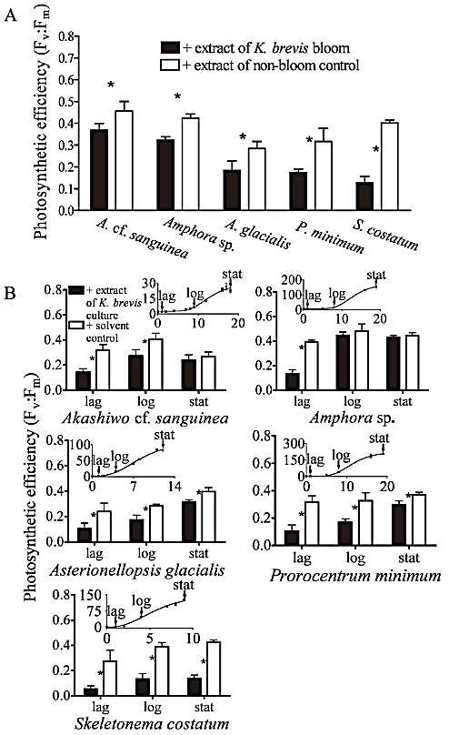 Karenia brevis와 다른 생물간의 영향. A) Karenia brevis의 추출물을 첨가한 생물군과 첨가하지 않은 생물군의 광합성률의 비교. B) 각 성장단계별 K. brevis의 추출물에 의한 광합성률의 영향 비교 (Prince et al. 2008)