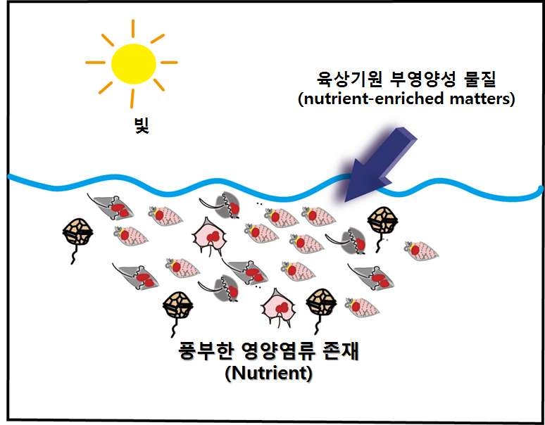 제 1세대 적조발생 메커니즘을 묘사한 모식도