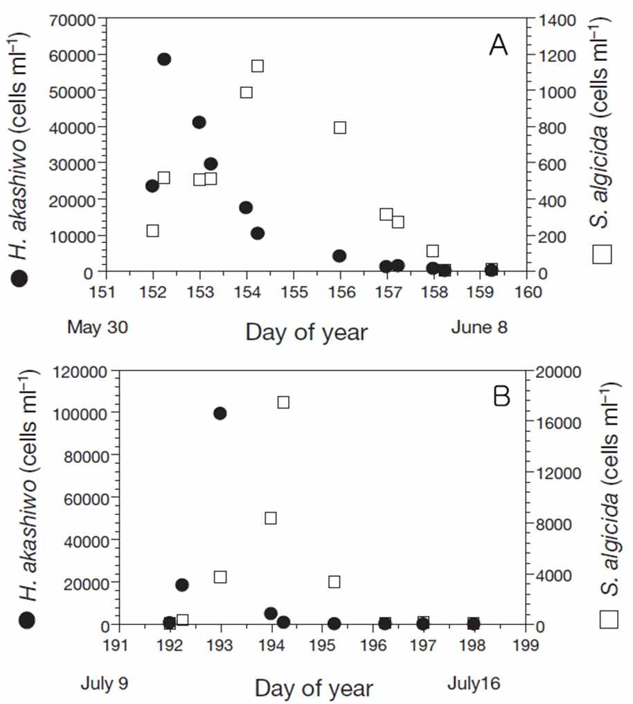 첫 H. akashiwo 적조가 일어난 2004년 5월 31일부터 6월 8일 사이와 2차 적조가 일어난 시기인 2004년 7월 10일부터 7월 16 기간 동안 마산만에서 적조 유발종인 Heterosigma akashiwo 와 포식종인 Stoeckeria algicida의 분포도를 나타낸 그래프 (Jeong et al. 2005).