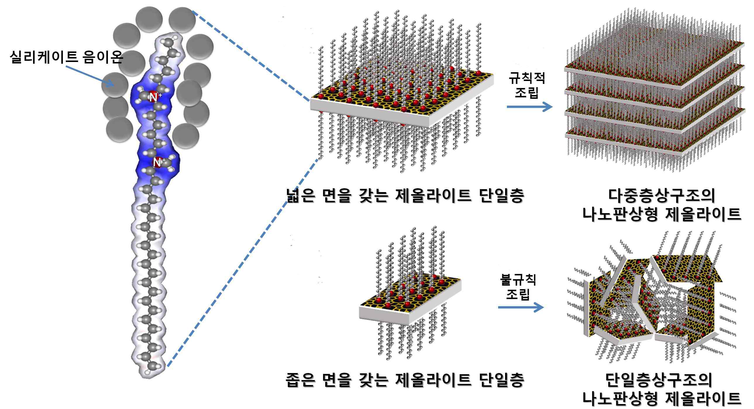 MFI 나노판상 제올라이트의 합성 과정 도시. 유기 계면활성 제의 암모늄 양이온 그룹이 규산염(실리케이트) 음이온 부분과 정전 기적 상호작용에 의해서 조립되고, 이것들이 합성 조성에 따라 얇은 제올라이트 층이 규칙적으로 정렬된 다중층상구조나 불규칙적으로 얽 힌 단일층상구조의 제올라이트 물질을 유도한다.