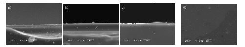 Fig. 6. SEM micrographs of Metal doped SiO2 thin film by dip coating as a function of TMOS value