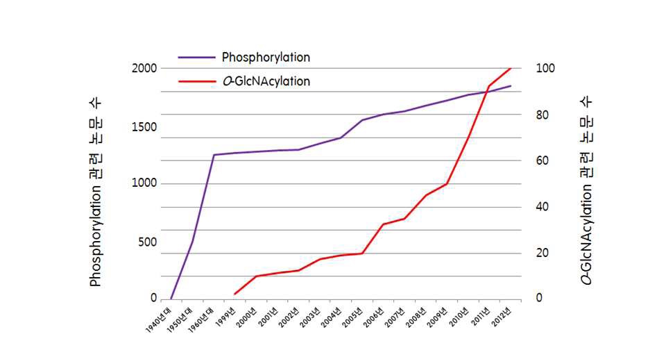 [ 그림 2. 인산화와 O-GlcNAc 수식화 논문 발표 추이 비교 ]