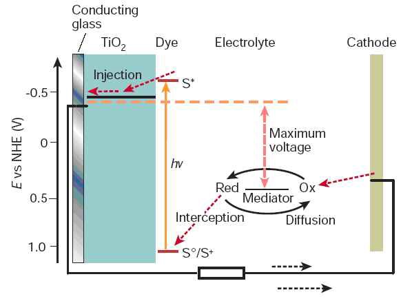 그림 1. 염료감응형 태양전지의 개략도