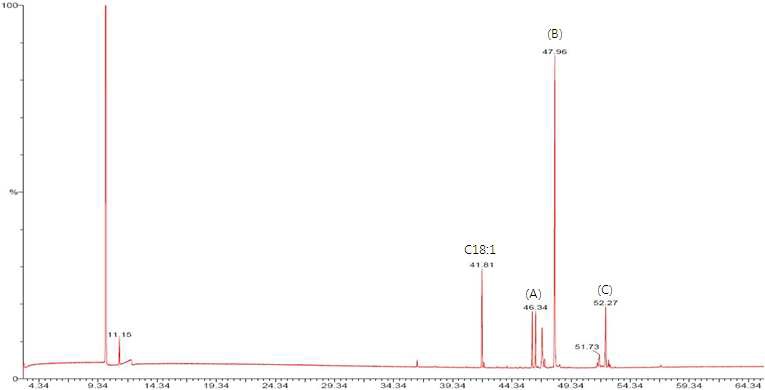 Figure 2. GC/MS chromatogram of alkaline isomerized reactant (20% NaOH, 1 hr, 180℃).C18:1 (methyl oleate)