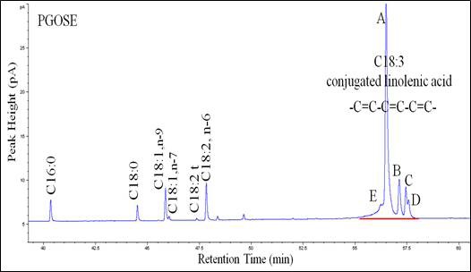 Figure 4. GC chromatogram of fatty acid composition of pomegranate seed oil extracted by soxhlet extraction.