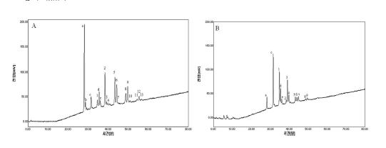Figure 6. Triacylglycerol composition of physical blend (A) and structured lipid (B). Structured lipid was synthesized using 1:1 molar ratio (soybean oil:commercial pomegranate seed oil) for 12 h. Peaks a-e were from pomegranate seed oil and peaks 1-13 were from soybean oil.