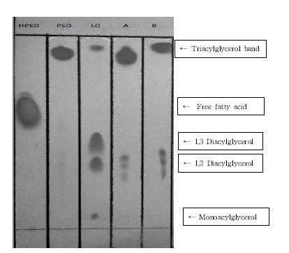 Figure 12. Thin-layer chromatogram of pomegranate seed oil (PSO), the hydrolysate of PSO (HPSO), and structured lipids (A: NH-SL, B: H-SL). PSO : triacylglycerol oil, LO (Litra® oil) : diacylglycerol oil, A (NH-SL) : it was synthesized at non-solvent (no n-hexane) system (NH-SL) using 1:6 molar ratio of palm stearin (PS) and HPSO for 72 hr in a shaking water bath set at 65℃ and 185 rpm, B (H-SL) : it was synthesized at solvent (n-hexane) system (H-SL) using 1:6 molar ratio of palm stearin (PS) and HPSO for 72 hr in a shaking water bath set at 65℃ and 185 rpm.