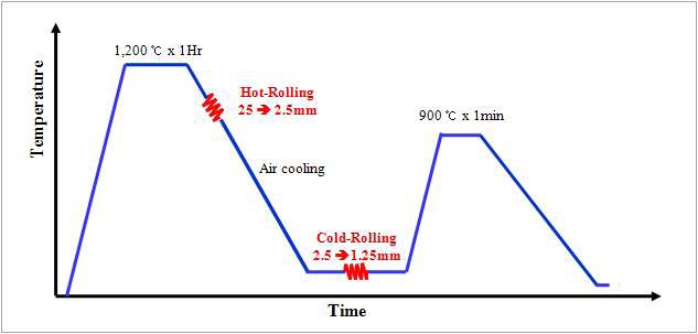 그림 1. TWIP강 제조 조건