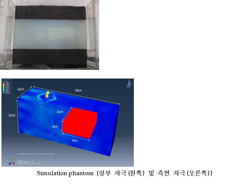 그림13. 아가로스 겔 팬텀