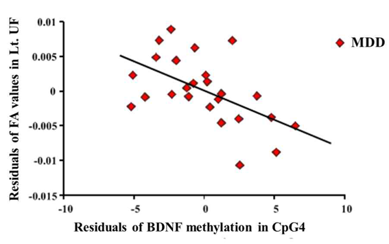 Figure 1. Uncinate FA values and BDNF methylation