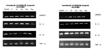 Fig. 2. Effect of HSF and LSF on IL-1, IL-6, TNF-α on mRNA expression in NIH/3T3 cells