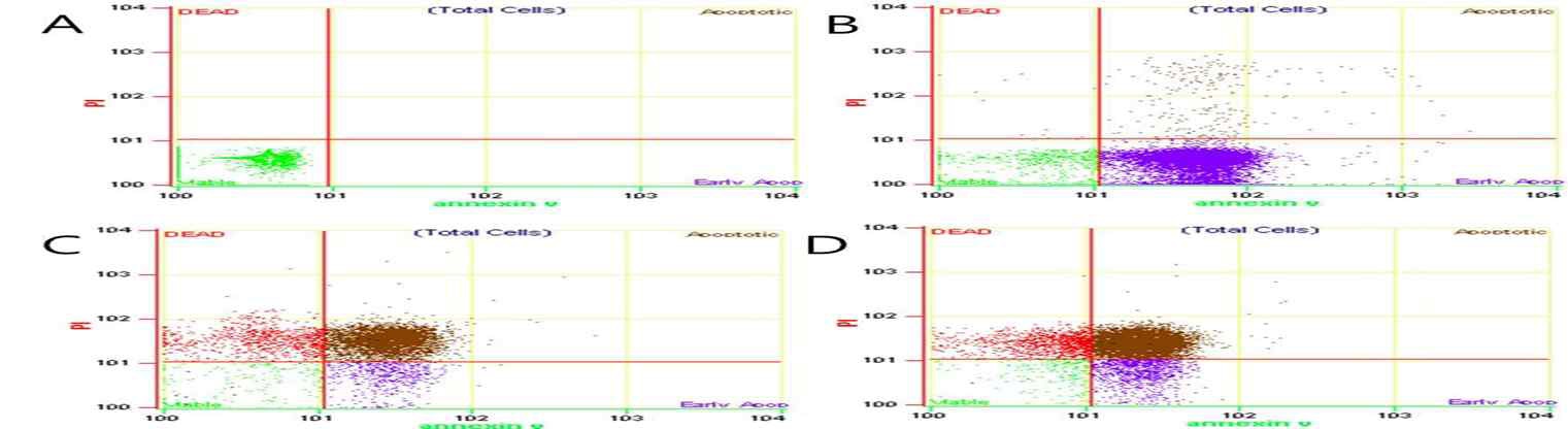 Fig. 4. FACS with Fucoidan on HT-29 cell