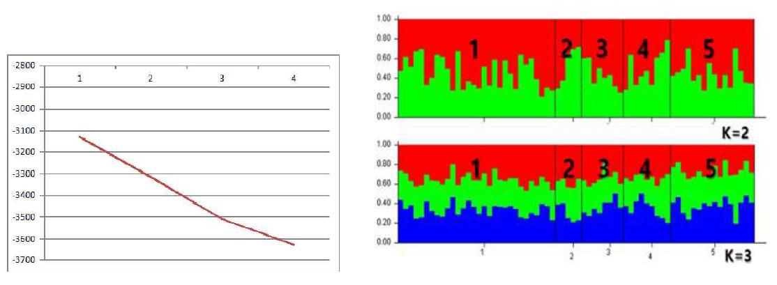 다람쥐의 국내집단간의 Structure 분석 결과. 좌: LnP(D)그래프, 우: Structure k값 (집단 1: 강원 2: 경기 3: 충청 4: 경상 5: 전라)