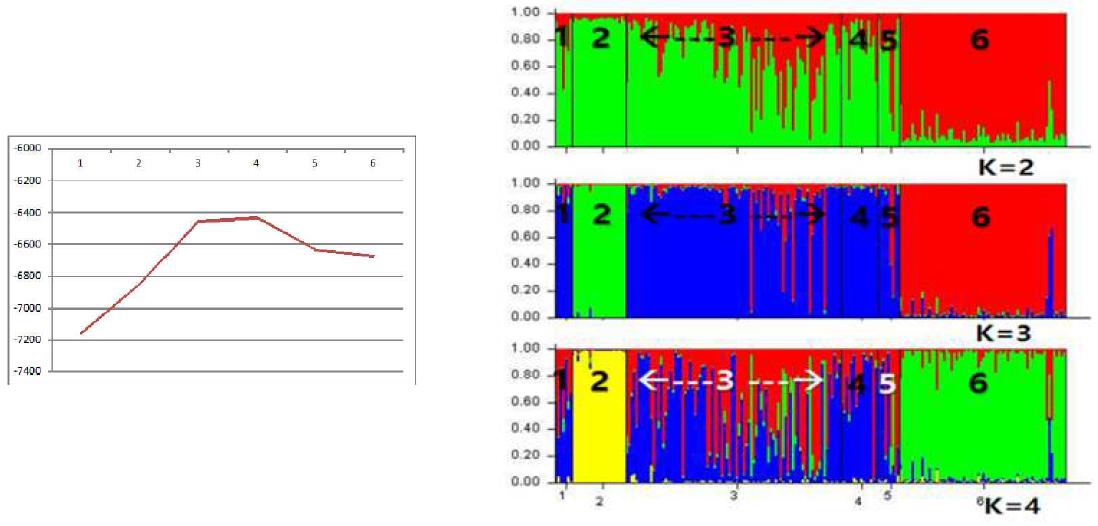 청설모 집단간의 Structure 분석 결과. 좌: LnP(D)그래프, 우: Structrure k값 (집단 1: 핀란드 2: 포르투갈 3: 러시아 4: 몽골 5: 중국 6: 한국 )