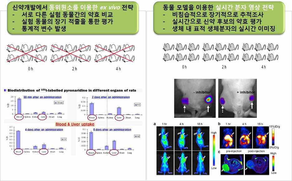 신약 개발을 위한 RI-ADME 및 분자영상을 이용한 RI-Biomics기술