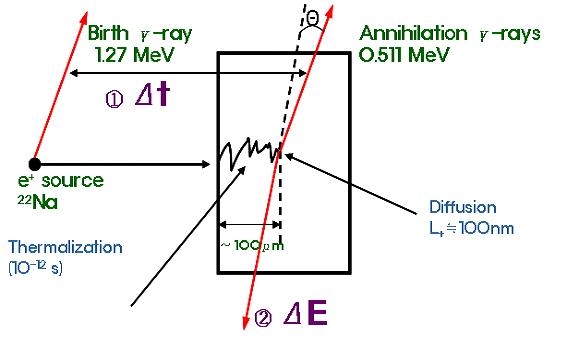 그림 3-3-5 ²²Na 소스를 이용한 양전자 측정 기술의 기본 원리