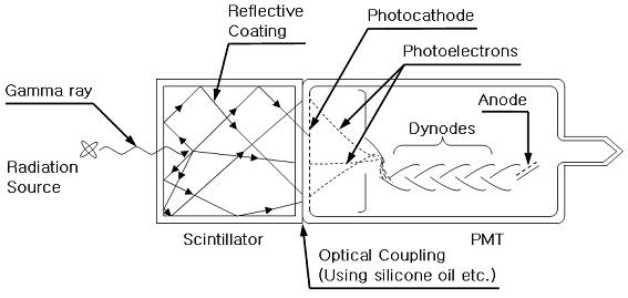 그림 3-3-10 광전자증배관의 구조.