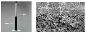 그림 2 전기영동법을 이용하여 제조한 micro tubular bi-layer 멤브레인